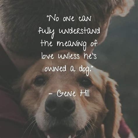 DOG TRAINING | Dog quotes, Dog lover quotes, Dog lovers