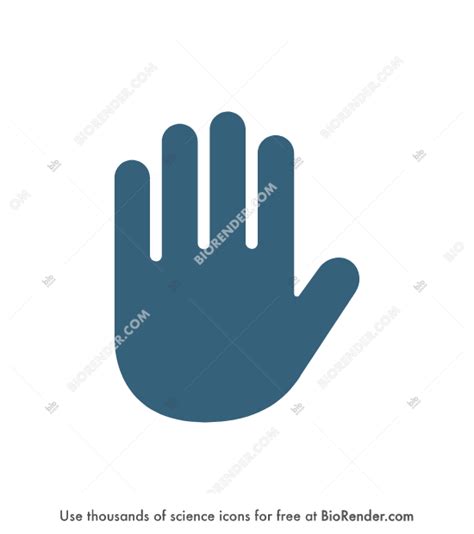 Free Hand (symbol) Icons, Symbols & Images | BioRender