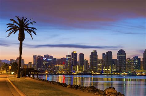 San Diego downtown skyline and palm tree at dawn - KPI Logistics