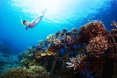 The Charm of east Bali and Blue Lagoon Snorkeling