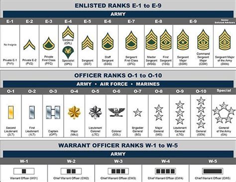 Basic Training: Rank Structure