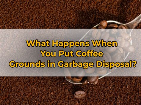 Coffee Grounds in Garbage Disposal (What Happen & Best Way to Dispose) - PuNk PrOjEcT