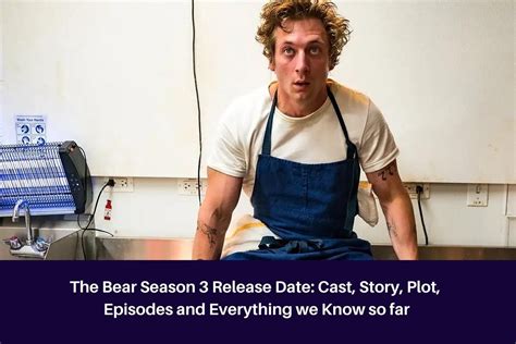 The Bear Season 3 Release Date: Cast, Story, Plot, Episodes and ...