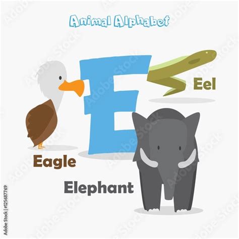 "Cute Animal Zoo Alphabet. Letter E for Eagle, Eel and Elephant" Stock ...