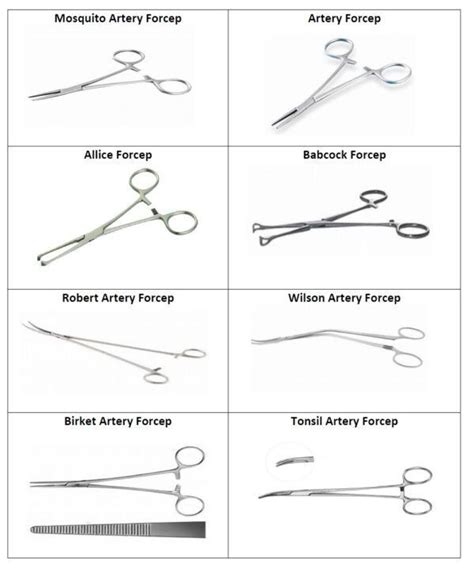 Surgery Artery Forceps | Surgical instruments, Medical school ...