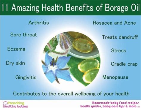 11 Amazing Health Benefits of Borage Oil | Borage oil, Borage oil ...