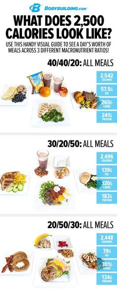 High Protein 2300-2400 Calorie Diet Meal Plan | Quick healthy meals ...