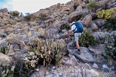 Hiking the Mariscal Rim Trail: A Return to Big Bend – TrailGroove Blog