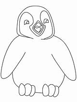 Cartoon Penguin Coloring Pages  sketch template