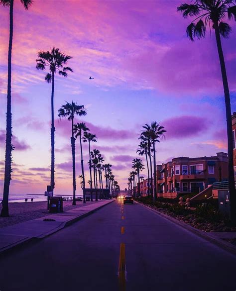 New Retro Streetwear Synthwave Fashion Brand in 2022 | Synthwave, Beach pictures, Florida wallpaper