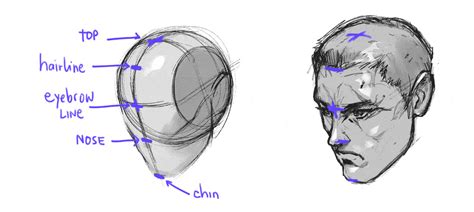 The Loomis Method of Drawing the Head, a Step-by-Step Guide – GVAAT'S ...