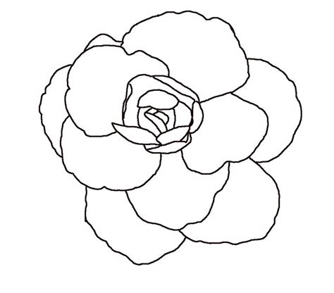 Free Line Drawing Of A Flower, Download Free Line Drawing Of A Flower ...