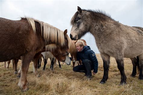 Secret to Iceland’s Tourism Boom? A Financial Crash and a Volcanic Eruption - The New York Times