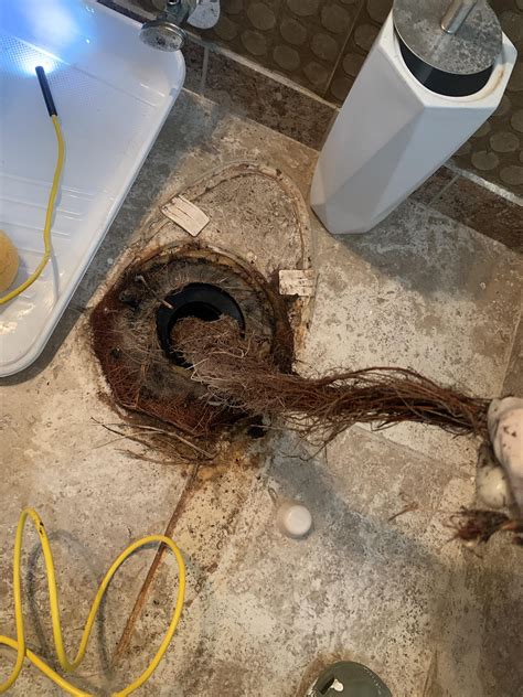 Cast iron toilet flange, next steps : r/Plumbing