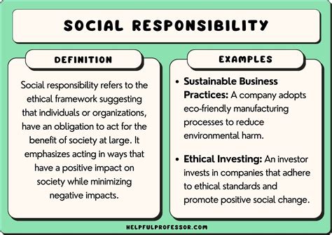 18 Social Responsibility Examples (Personal and Corporate) (2024)