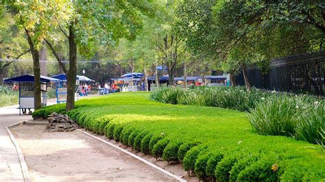 Chapultepec Park in Mexico City, | Expedia