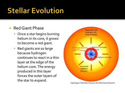 PPT - Stellar Evolution PowerPoint Presentation, free download - ID:2519206