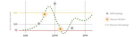 What Is Continuous Glucose Monitoring? (CGM) | Dexcom Provider