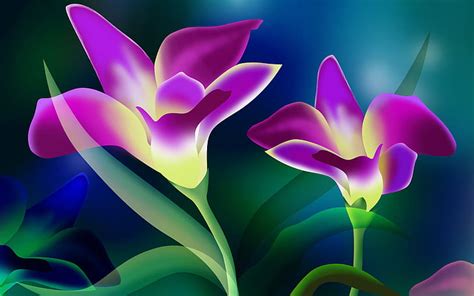 HD wallpaper: Beautiful Flower Wallpaper Hd Free Download 1704 ...