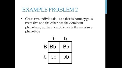 Punnett Square Incomplete Dominance Worksheet Answer Key - Incomplete And Codominance / Students ...