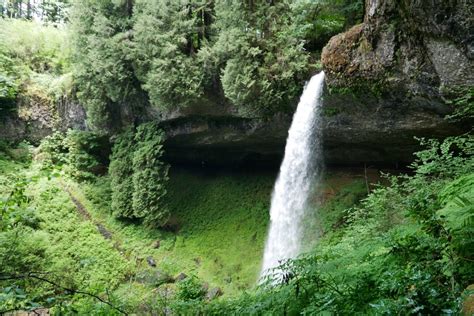 The Trail of Ten Falls in Oregon's Silver Falls State Park - Erika's Travels