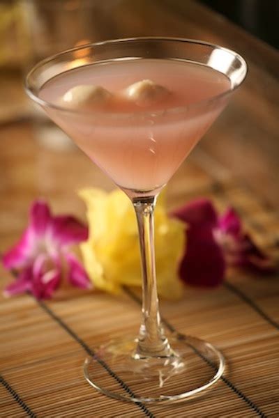 Lychee Vodka Martini Recipe