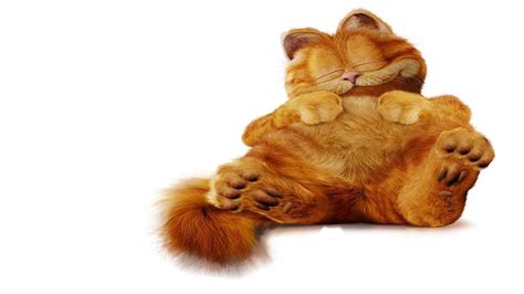 Gambar Kucing Garfield Pookie Beruang Kartun Wallpaper Resolusi Gambar di Rebanas - Rebanas