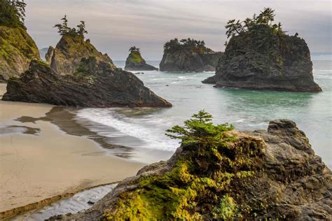 Top Things to Do in Brookings-Harbor, Oregon