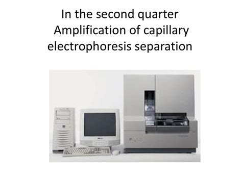 扩增产物的毛细管电泳分离 ( Amplification of capillary electrophoresis separation ) - ppt download