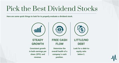 Highest Paying Dividend Stocks 2024 - Edie Nettie