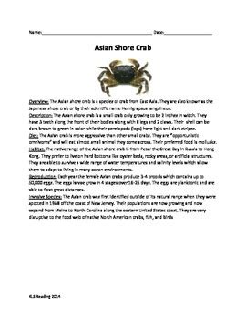 Asian Shore Crab - Invasive species - Article Questions Vocab activities