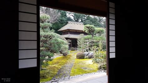 Enjoying a Zen Tea Ceremony in A Temple