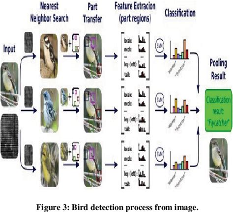 Table 1 from Bird Species Identification using Deep Learning on GPU platform | Semantic Scholar