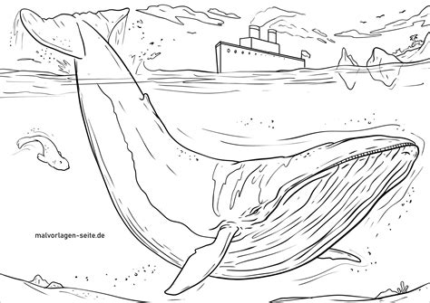 Whale Coloring Pages - ColoringBay