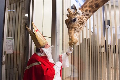 Santa Sightings Around the World - ABC News