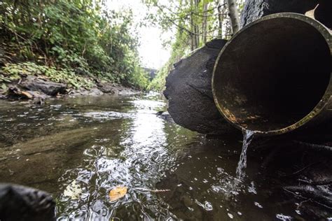 Stormwater detox: Pollution solutions are within reach | The Seattle Times