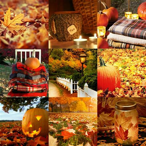 aesthetic halloween | Tumblr | Herfst foto's, Herfst halloween, Herfstkleuren