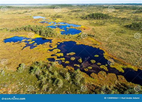 Estonian Bog Lakes with Small Islands Stock Image - Image of european, colorful: 130890061