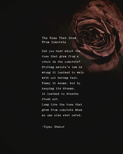 Tupac Shakur Poem the Rose That Grew From Concrete Poetry - Etsy ...