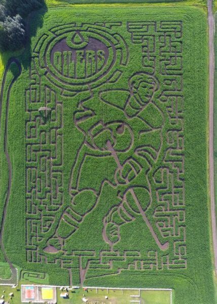 Get Lost at the Edmonton Corn Maze | Family Fun Edmonton