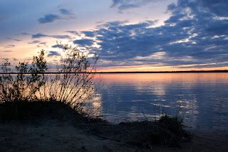 Scribblings from a Lab Notebook: Tawas Point Birding Festival