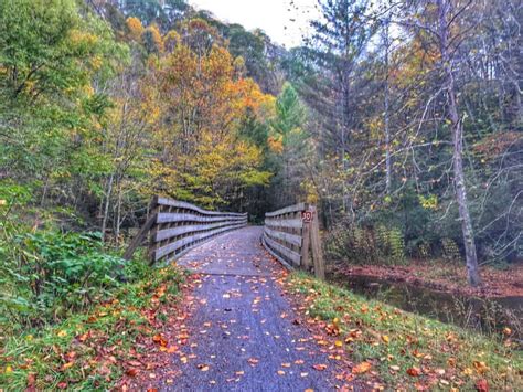 What's Creepy About the Virginia Creeper Trail? | Tattling Tourist