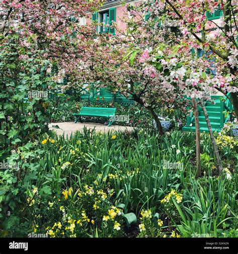 Spring in Monet garden in Giverny, France Stock Photo - Alamy