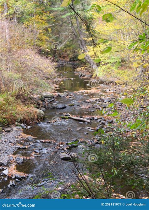 Serene brook in autumn stock image. Image of leaf, stream - 258181977