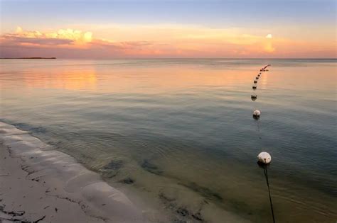 Cedar Key Beaches: A Haven for Nature Lovers – Wild