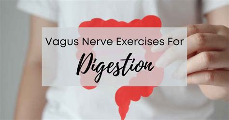 Vagus Nerve Exercises For Digestion | The Whole Story LLC