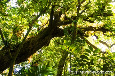 Visiting Cerro Verde, El Salvador