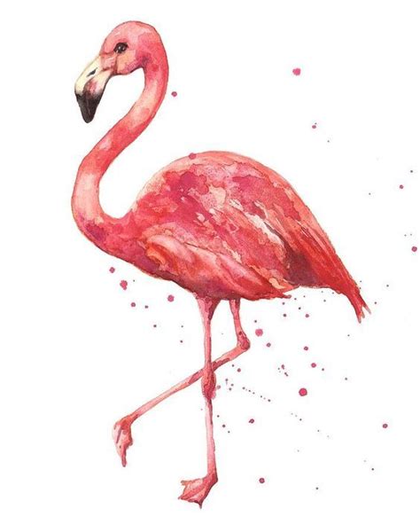 Pin by jeabzyᴾᴿᴵᴹ★★★ Primp|| on Tat | Flamingo art print, Flamingo painting, Flamingo wall art