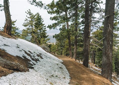 Tehachapi-Mountain-Trail-Tehachapi-Mountain-Park | California Wanderland