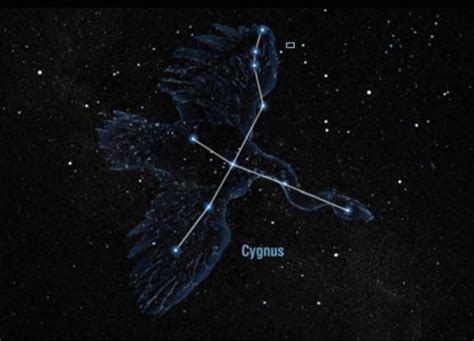 Cygnus Constellation | Cygnus constellation, Constellation tattoos, Constellations